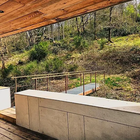Modern Spacious Forest