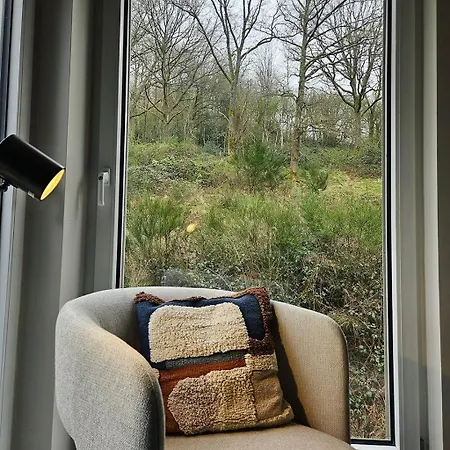 Modern Spacious Forest